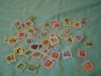 /album/fotogalerie/pexeso-jpg/